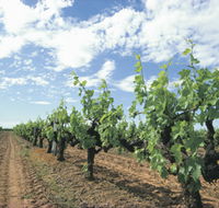 Blackwood Meadery - SA Accommodation