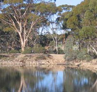 Merredin Railway Dam - SA Accommodation