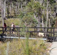 Forest Path Crooked Brook - SA Accommodation