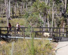 Forest Path, Crooked Brook - SA Accommodation 0