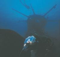 Swan Dive Wreck - SA Accommodation