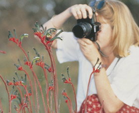 Gingin Cemetery - SA Accommodation 0
