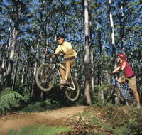 Leeuwin-Naturaliste National Park - Cowaramup - SA Accommodation