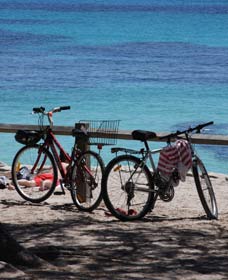 Parker Point Marine Snorkel Trail - SA Accommodation 0