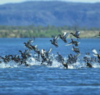 Ord River - SA Accommodation