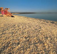 Shell Beach - SA Accommodation