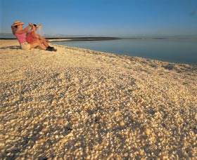 Shell Beach - SA Accommodation 0