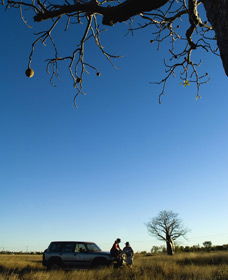 Joonjoo Botanical Trail - SA Accommodation 0