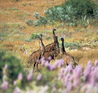 Jurabi Coastal Reserve - SA Accommodation