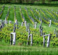 Sienna Estate Winery - SA Accommodation
