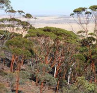 Mount Matilda Walk Trail Wongan Hills - SA Accommodation
