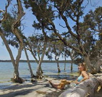 Stokes National Park - SA Accommodation