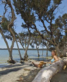 Stokes National Park - SA Accommodation 0