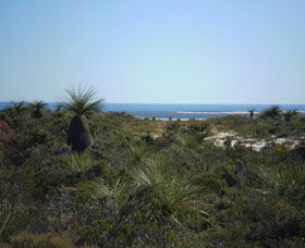 Lesueur National Park - SA Accommodation 0
