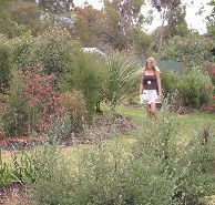 The Mythic Mazes - SA Accommodation