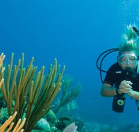 Coastal Water Dive - SA Accommodation