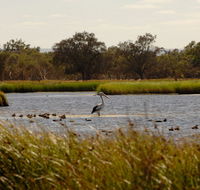 Anytime Adventures in Mandurah  the Peel Region - SA Accommodation