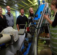 Eyre Peninsula's Seafood Trail - SA Accommodation