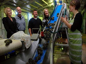 Eyre Peninsula's Seafood Trail - SA Accommodation 0