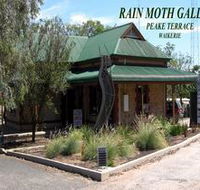 Rain Moth Gallery - SA Accommodation