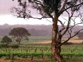  SA Accommodation