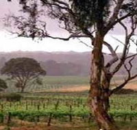 Yangarra Estate Vineyard - SA Accommodation