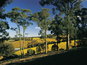 Lobethal SA SA Accommodation