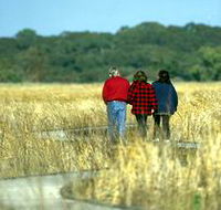 Onkaparinga River Recreation Park - SA Accommodation