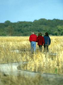 Onkaparinga River Recreation Park - SA Accommodation 0