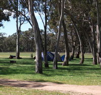 Black Cockatoo Bush Camp - SA Accommodation