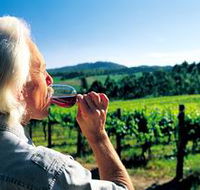 Ashton Hills Vineyard - SA Accommodation