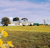 Lucindale Country Club - SA Accommodation