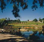 Mount Hurtle Winery home of Geoff Merrill Wines - SA Accommodation