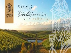 Maximus Wines Australia - SA Accommodation 0