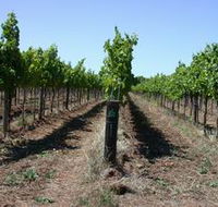 Temple Bruer Winery - SA Accommodation