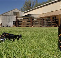 Wilkadene Woolshed Brewery - SA Accommodation