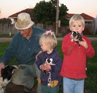 Orrie Cowie Merino and Poll Merino Stud - SA Accommodation