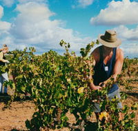 Torbreck Vintners - SA Accommodation
