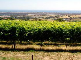  SA Accommodation