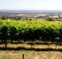 Braydun Hill Vineyard - SA Accommodation