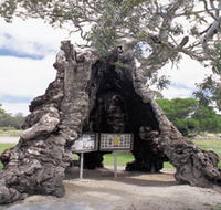 The Herbig Family Tree - SA Accommodation