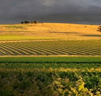 Kellermeister Wines - SA Accommodation