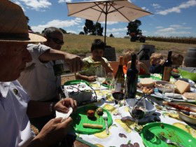  SA Accommodation