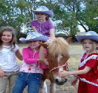 Amberainbow Pony Rides - SA Accommodation