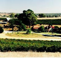 Irvine Wines - SA Accommodation