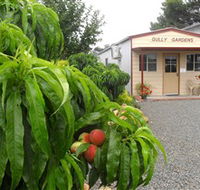 Gully Gardens - SA Accommodation