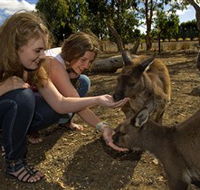 Kangaroo Island Wildlife Park - SA Accommodation