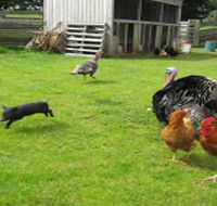 Echo Farm - SA Accommodation