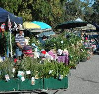 Meadows Monthly Market - SA Accommodation