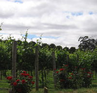 Manyara Vineyard - SA Accommodation